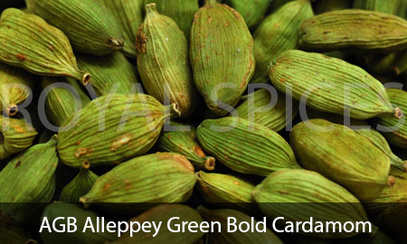 AGB Alleppey Green Bold
