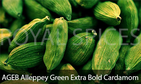 AGEB Alleppey Green Extra Bold